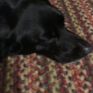 Meet your Posher, Anne